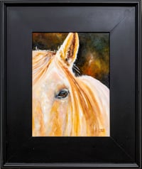 “Aisling”   (Irish for dream, vision)