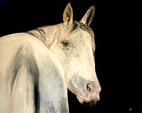 “Luna”