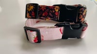 Image 4 of Dog Collars