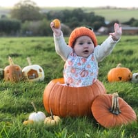 Image 3 of PUMPKIN FAIRYTALE - PRE-ORDER - BABY/CHILDRENS CLOTHING