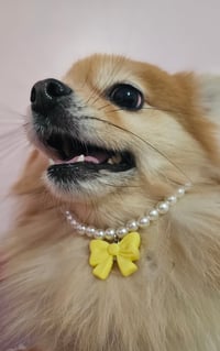 Image 3 of Yellow Bow Coquette Collar