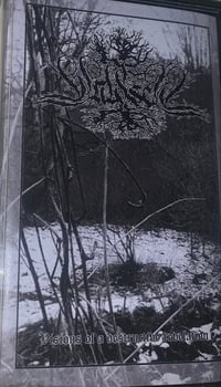 WALDSEEL - VISIONS OF A DESTRUCTIVE REVELATION