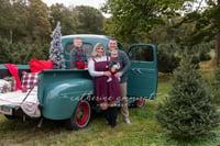 Image 1 of Vintage GREEN Truck days at the Christmas Tree farm 2024