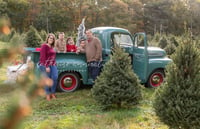 Image 2 of Vintage GREEN Truck days at the Christmas Tree farm 2024