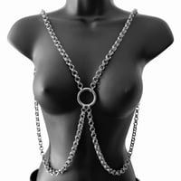 Image 2 of Daisy chain harness