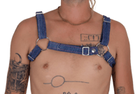 Image 2 of Denim Bulldog Harness
