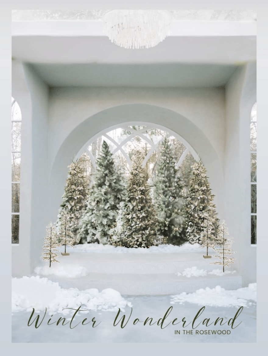 Image of Winter Wonderland in the Rosewood ($100 booking fee)