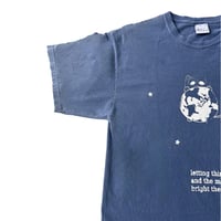 Image 3 of ᓚ₍ ^. .^₎ (arch.)