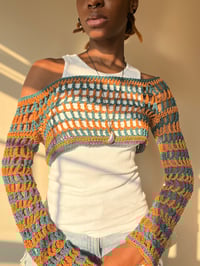 Image 2 of Cattleya Bolero