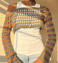 Image 3 of Cattleya Bolero