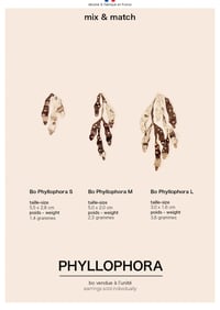 Image 2 of ALGUES PHYLLOPHORA - BO - 3 tailles (prix à partir de)