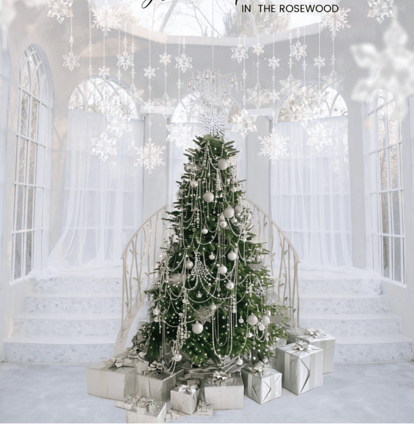 Image of Christmas Mini Sessions in the Rosewood ($100 booking fee)