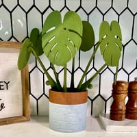 Image 1 of Monstera Coaster Set Plant, 3D Printed with Magnetic Coaster Leaves