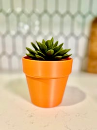 Image 1 of Push Pin Succlent Plant 3D Printed | Home & Office Functional Decor