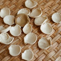 Image 1 of Tiny Shell Dish 