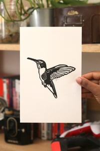 Image of hummingbird