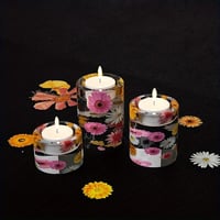 Image 1 of Sunshine Coast Workshop - Set of 3 Candle Holders