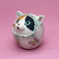 Image 3 of A little calico 