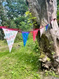 Image 1 of Cotton Bunting 