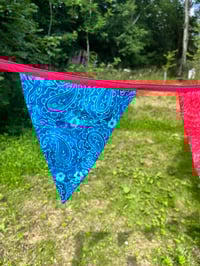 Image 4 of Cotton Bunting 