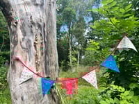 Image 5 of Cotton Bunting 