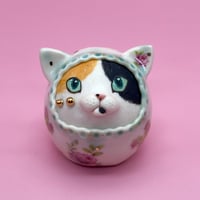 Image 1 of A little calico 