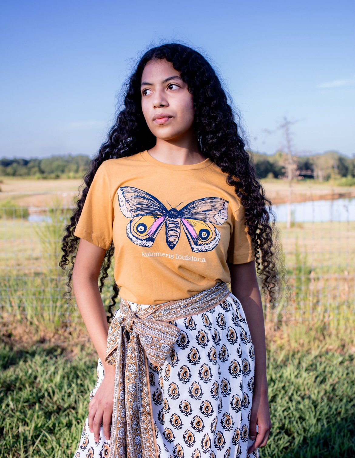 Image of Adult Louisiana Eyed Silkmoth in Mustard