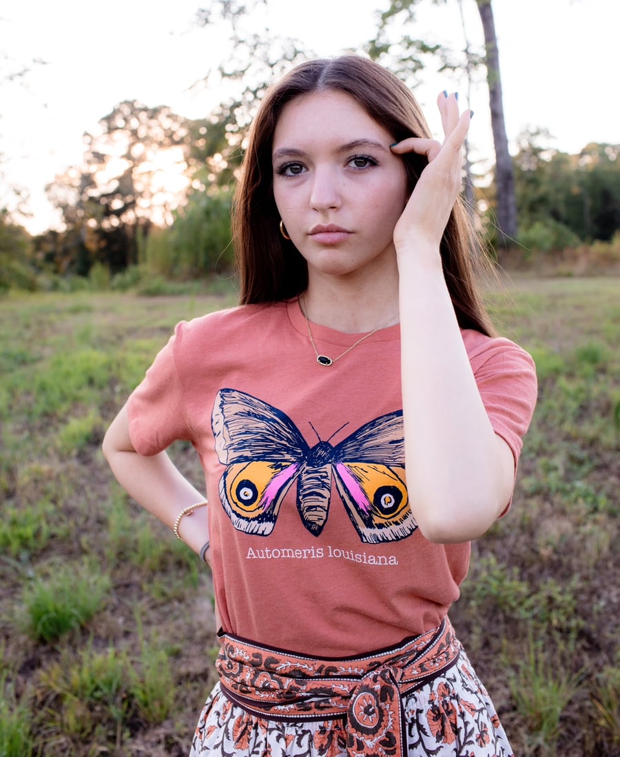 Image of Adult Louisiana Eyed Silkmoth in Redwood 