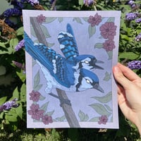 Image 2 of Two-Headed Blue Jay Print