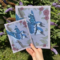 Image 3 of Two-Headed Blue Jay Print