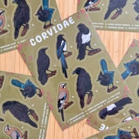 Image 2 of Corvidae Sticker Sheet