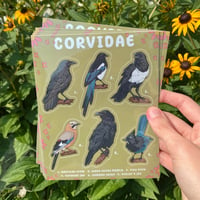 Image 1 of Corvidae Sticker Sheet