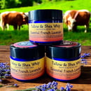 Image 2 of Essential French Lavender Tallow & Shea Whip