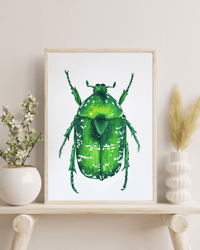 Image 6 of Protaetia cuprea watercolor illustration PRINT 