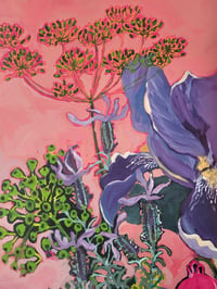 Image 7 of Bearded Iris, Salvia, Geranium, Euphorbia, Fennel, Lavender and Aquilegia