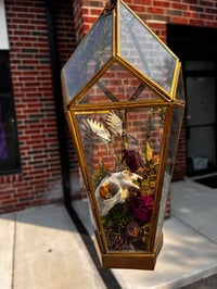 Enchanting Cat Skull Terrarium