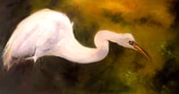 “Splendor in the Marsh”