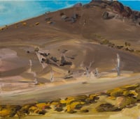 Gorse flowers, Lower Marshes