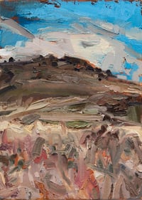 Pink grass, Lower Marshes