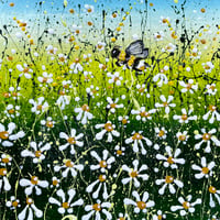 Image 1 of 'Daisy Meadow'