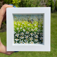 Image 2 of 'Daisy Meadow'