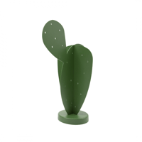 Image 1 of Cactus Fat