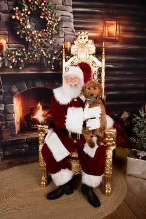 Image of 11/11/25: Christmas 40 (NO SANTA)