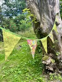 Image 1 of Pretty Bunting 
