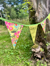 Image 3 of Pretty Bunting 