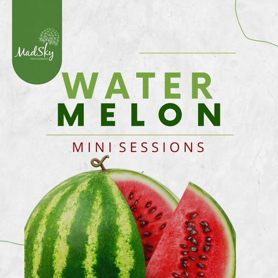 Image of  WATERMELON MINI SESSION