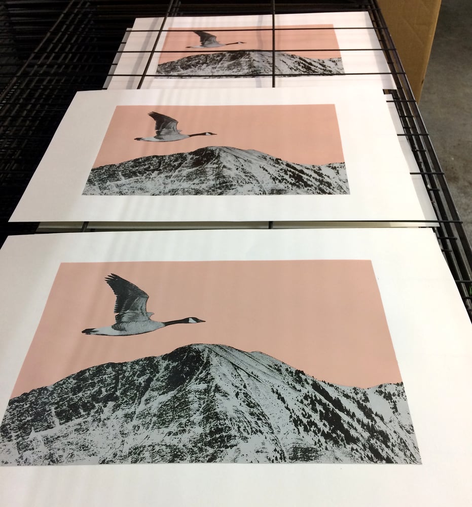 Image of SCREENPRINTING WEEKEND. Sat./Sun. 25th./26th. Jan. 2025. 11am - 5pm. £170.00 