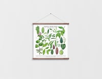 Image 8 of Hoya Species Poster