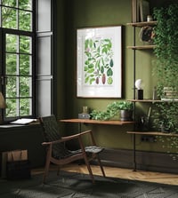 Image 9 of Hoya Species Poster