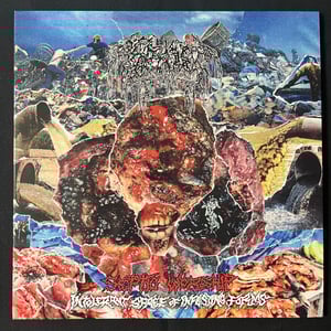Image of Septage - Septic Worship (Intolerant Spree of Infesting Forms) LP